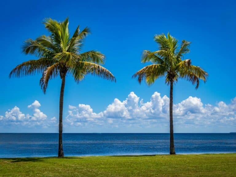 Medical Waste Disposal Services in Bokeelia, FL